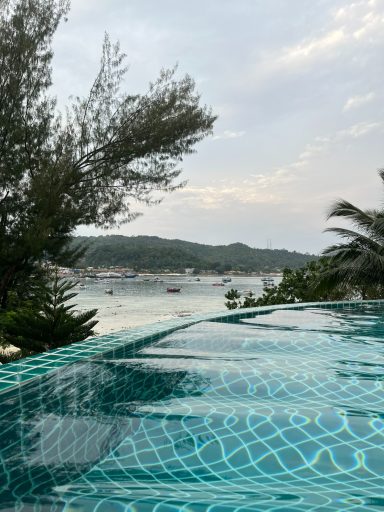 Vista de una piscina infinita con árboles y un paisaje costero.