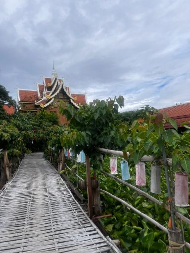 Camino de madera rodeado de vegetación, con un edificio tradicional al fondo.