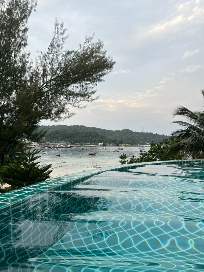 Piscina infinita con vista al mar y montañas, rodeada de árboles y vegetación.