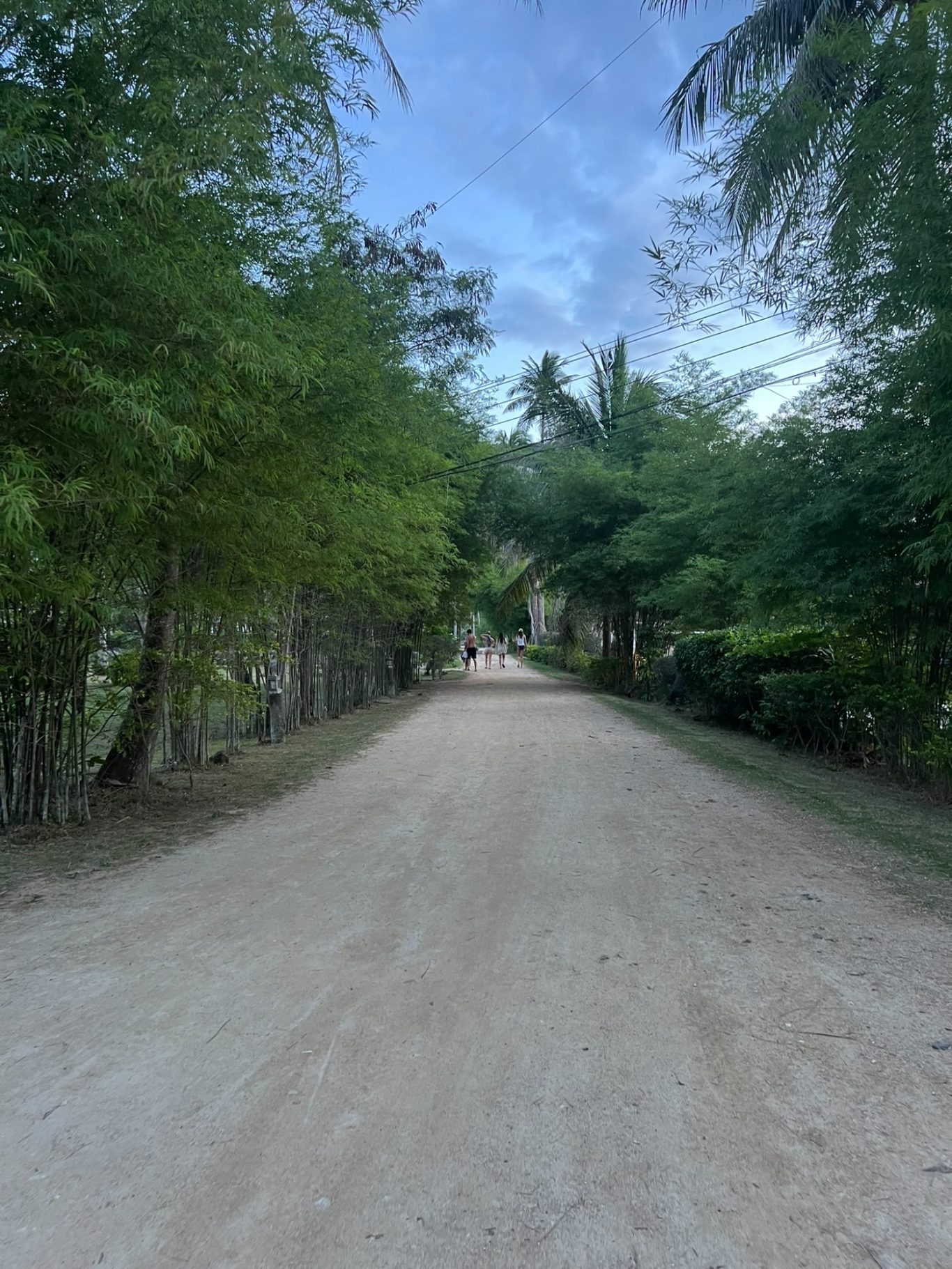 Camino de tierra rodeado de vegetación y árboles, bajo un cielo azul claro.
